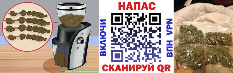 Cannafood конопля  Суворов 