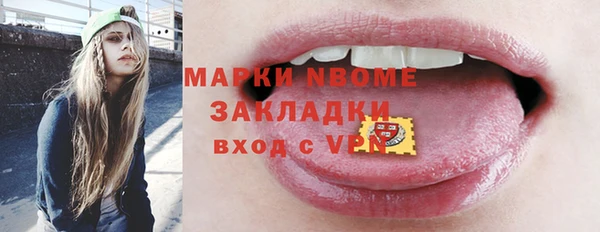 амф Верхний Тагил