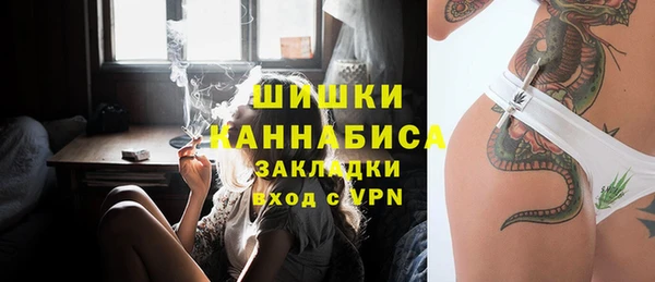 амф Верхний Тагил