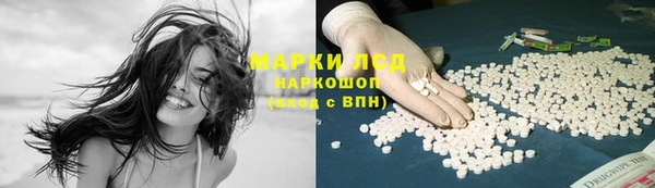 индика Бородино