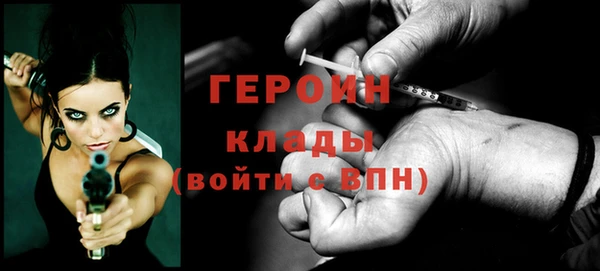 индика Бородино