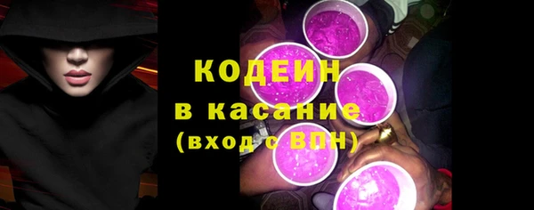 амф Верхний Тагил