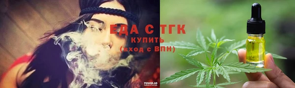 индика Бородино