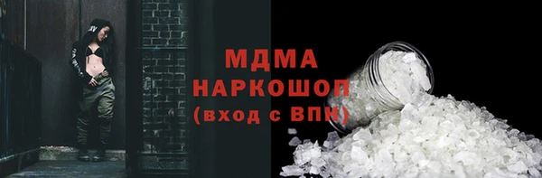 индика Бородино