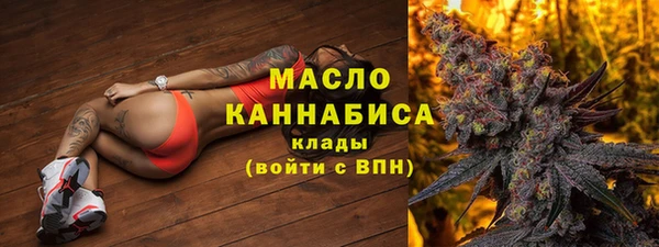 индика Бородино