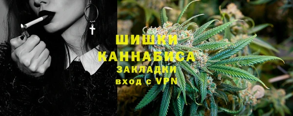 амф Верхний Тагил