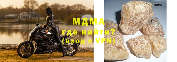 индика Бородино