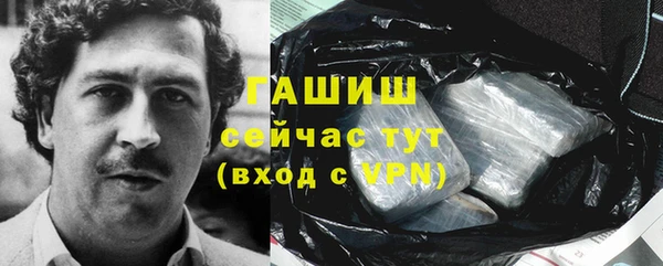 индика Бородино