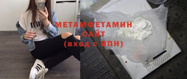 индика Бородино
