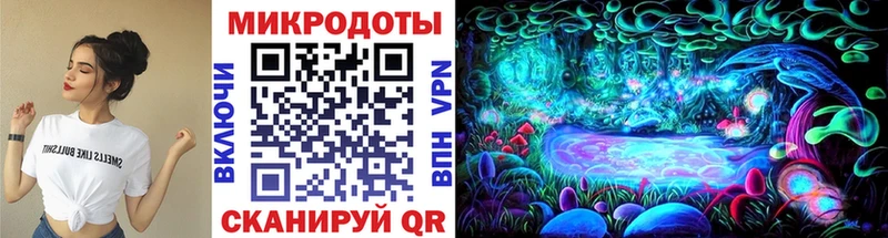 цена   Суворов  Псилоцибиновые грибы Cubensis 