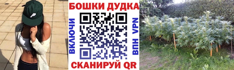 цены   Суворов  Канабис гибрид 